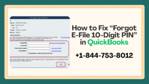 Forgot E-File 10-Digit PIN