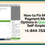 missing payment method options in QuickBooks Self-Employed.