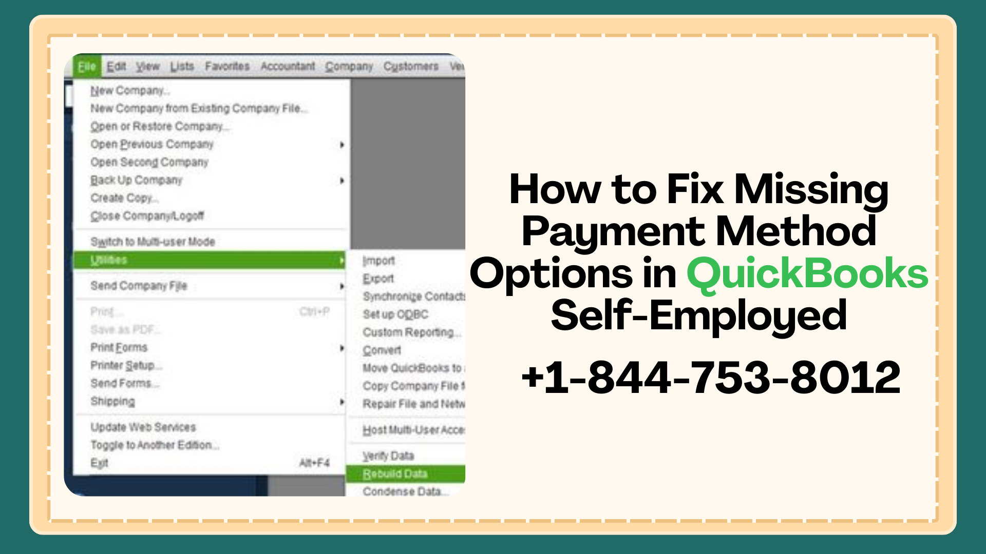 missing payment method options in QuickBooks Self-Employed.